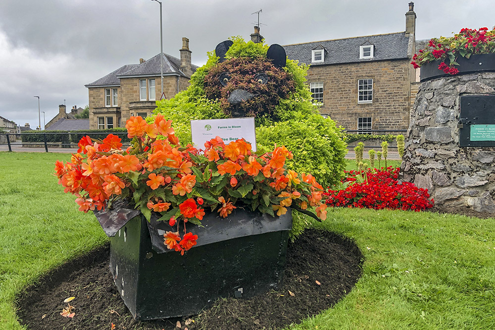 Forres in Bloom